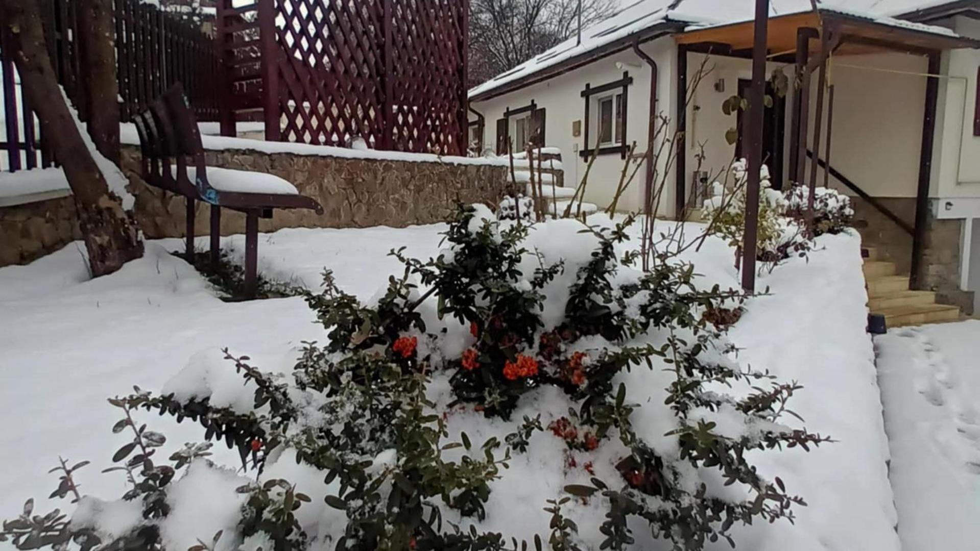 Villa Casa Tihna Băile Olăneşti Exterior foto